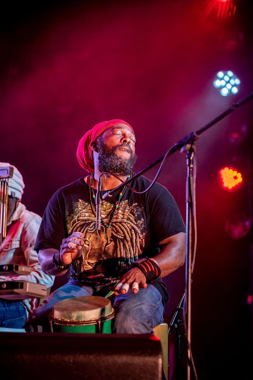 The Wailers Ft. Julian Marley live from Old School Square, Delray, Florida. Photography credit Julia Rose Photo