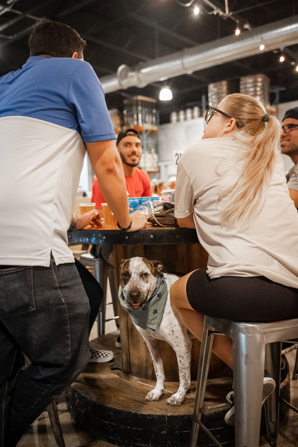 Annual Summer Vibes Lager Fest at The Tank Brewing Company. Miami, Florida
