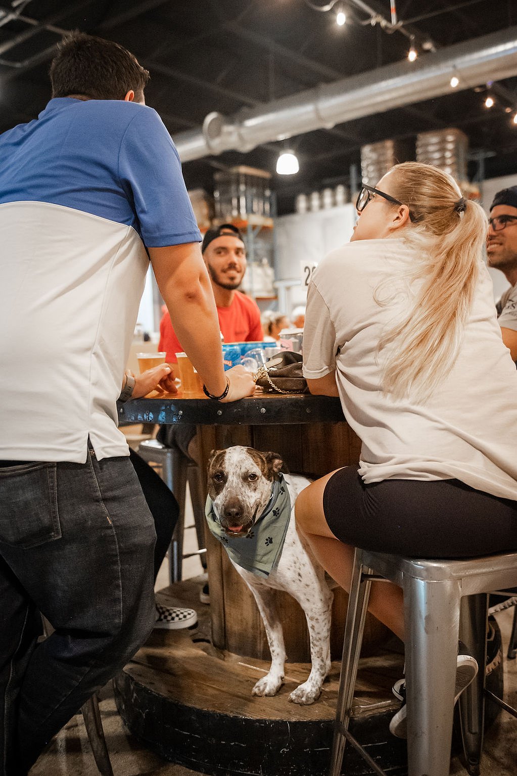 Annual Summer Vibes Lager Fest at The Tank Brewing Company. Miami, Florida