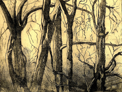 Tree 6