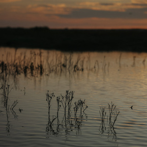 norfolk photographer | norwich photographer 