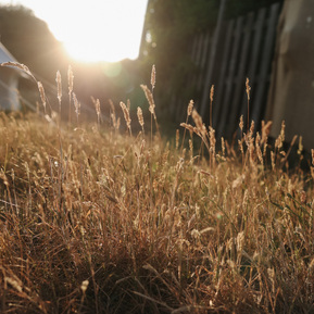 norfolk photographer | norwich photographer 