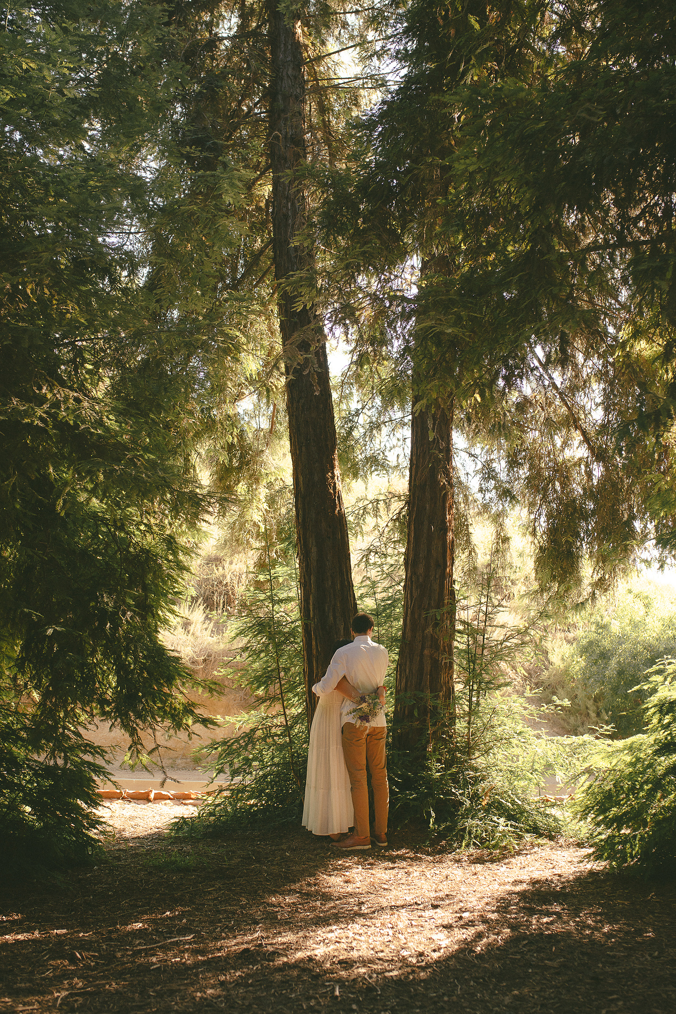 The bride and groom pose for a warm, organic portrait. An intimate, romantic elopement in the Redwoods Grove in Orange County, CA. Aly Rose Photo, wedding, elopement, engagement, portrait photographer in Southern California.