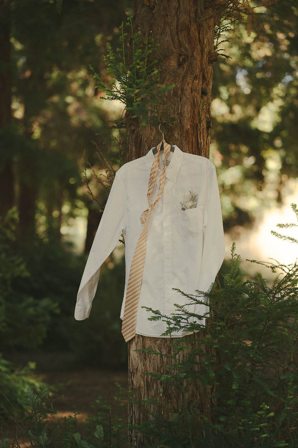 The groom's dress shirt blows gently in the wind as it hangs from a Redwood tree. An intimate, romantic elopement in the Redwoods Grove in Orange County, CA. Aly Rose Photo, wedding, elopement, engagement, portrait photographer in Southern California.