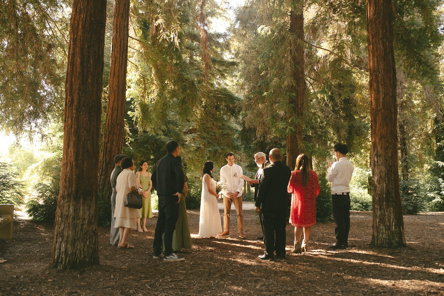 A warm, organic portrait of the ceremony from afar under the ancient Redwood trees. An intimate, romantic elopement in the Redwoods Grove in Orange County, CA. Aly Rose Photo, wedding, elopement, engagement, portrait photographer in Southern California.
