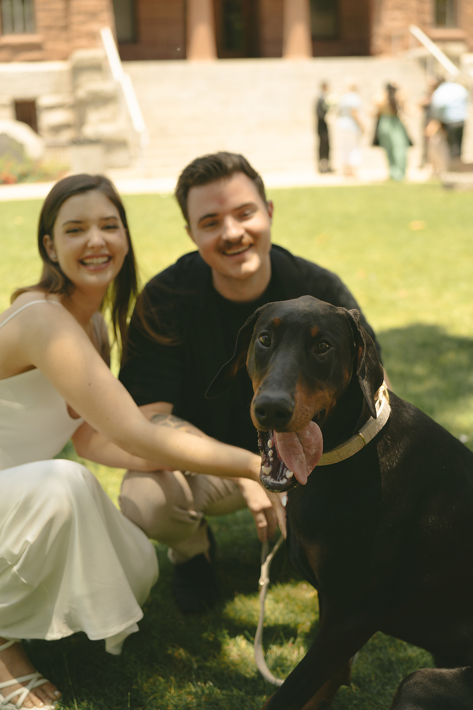 Bride and groom take family portraits with their dog on the front lawn at their courthouse wedding ceremony, Old Orange County Courthouse, Santa Ana, CA, Aly Rose Photo, natural light engagement, elopement, wedding, portrait, lifestyle photographer SoCal