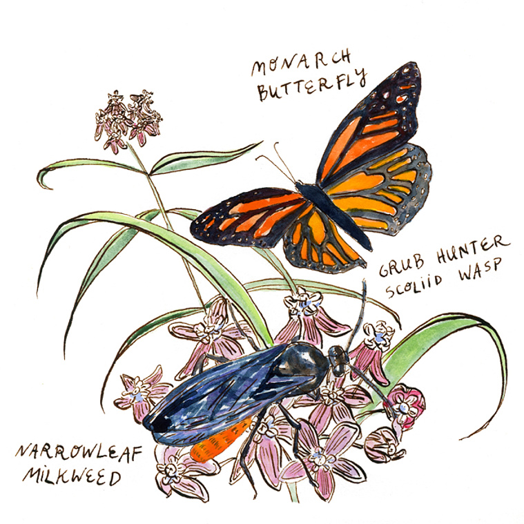 Sustainable flora and fauna by Lisa Nowlain