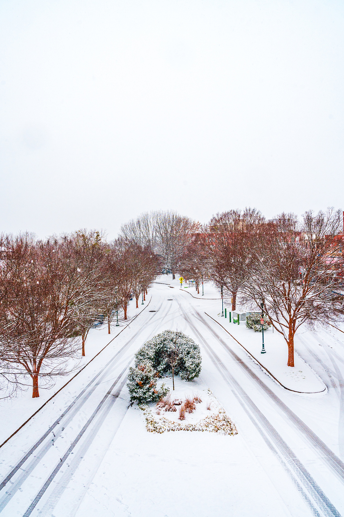 Coolidge Park covered in snow, January 2025 by Anh Bao Tran-Le Photography