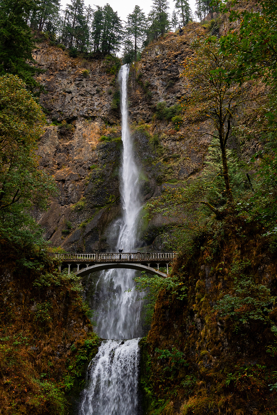 Multnomah Falls, Oregon. Columbia River Gorge 
