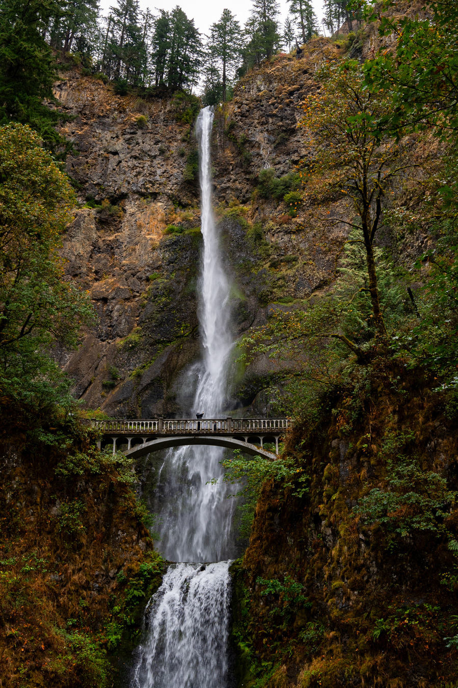 Multnomah Falls, Oregon. Columbia River Gorge 
