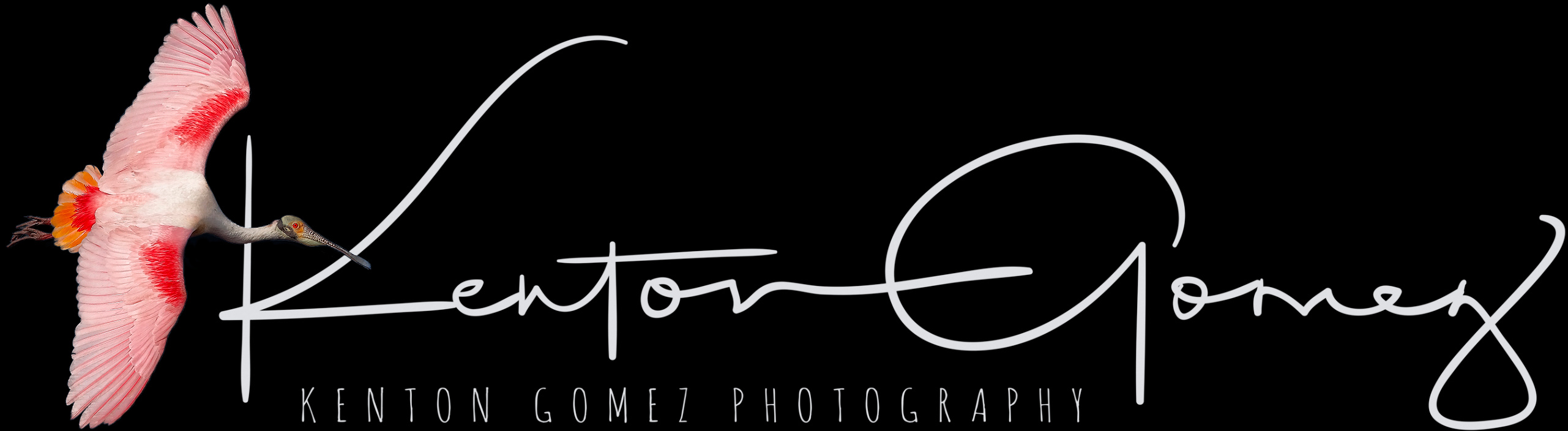 Kenton Gomez Photography 