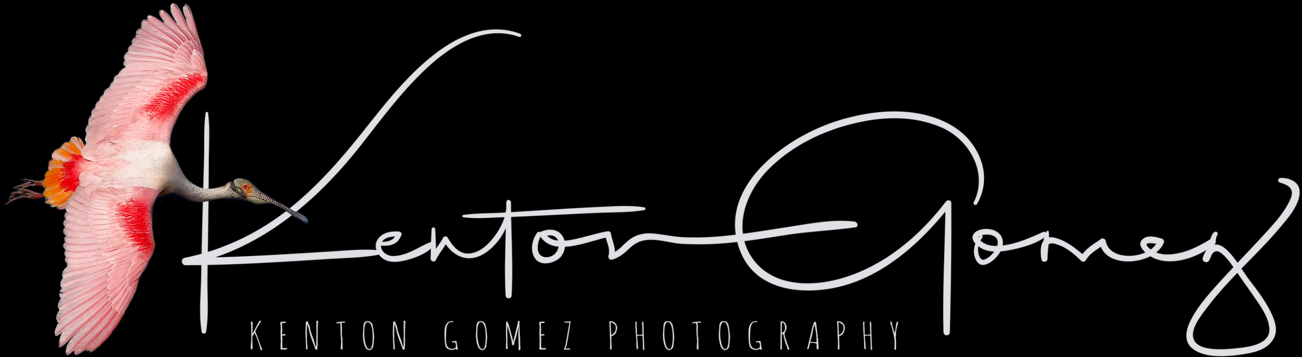 Kenton Gomez Photography 
