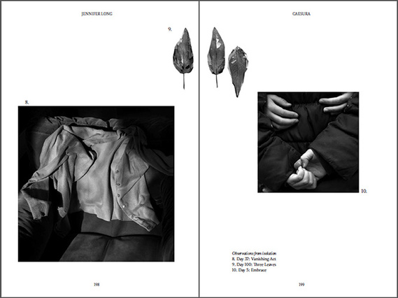 Demeter Press, Mothers, Mothering, and COVID-19: Dispatches from the Pandemic, Caesura, Jennifer Long, Canadian Artist