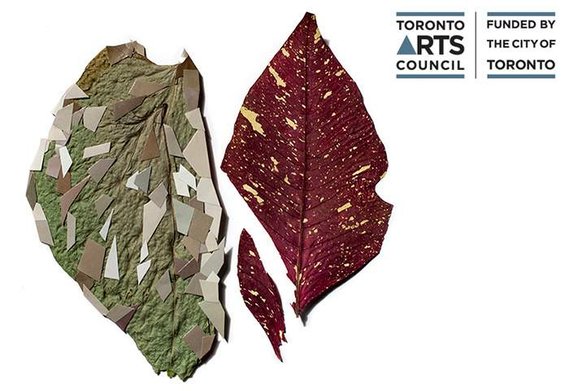 Jennifer Long, Caesura, Toronto Arts Council