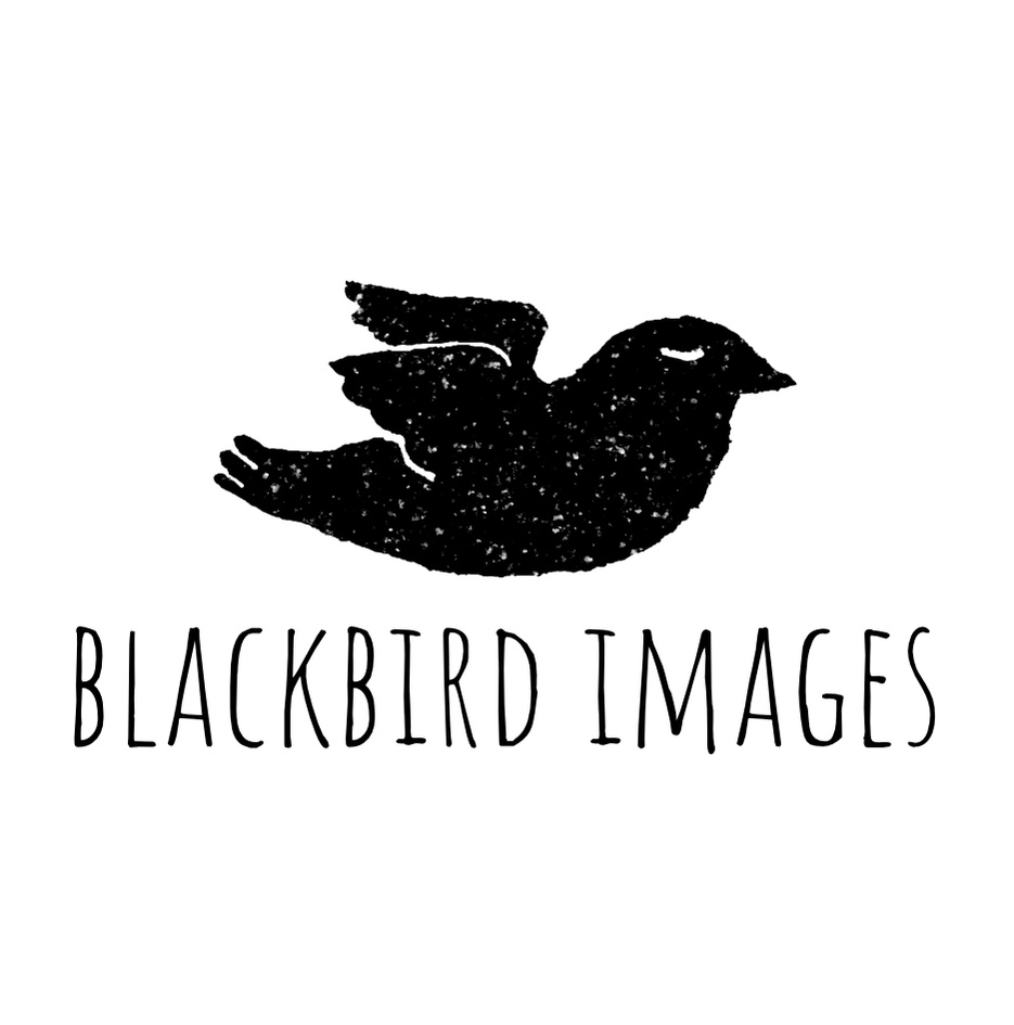 Blackbird Images