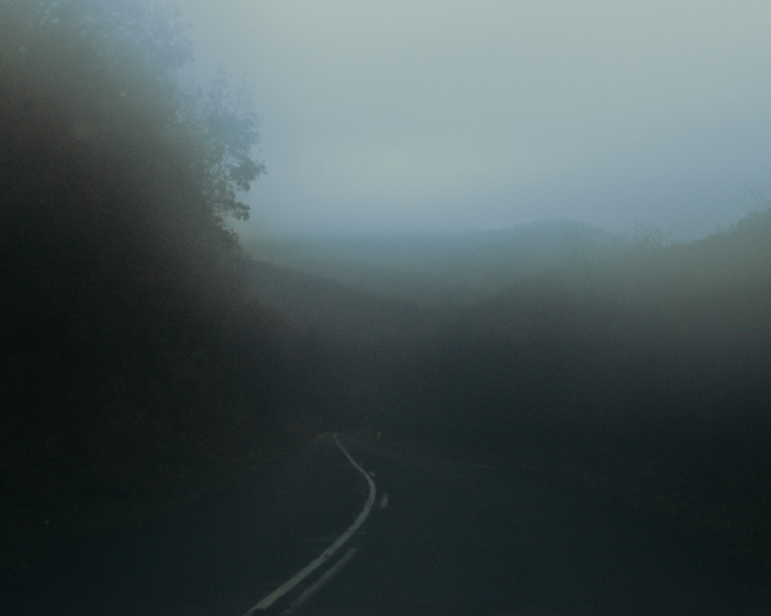 Temporarily Local, away, erasmus, travel, mysterious, spooky, haunted, dark, moody, real, portraits, sad, woods, wilderness, faces, cultural, budapest, hungary, countryside, vintage, analog
