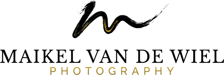 Brush Logo Maikel van de Wiel Photography Gold Black