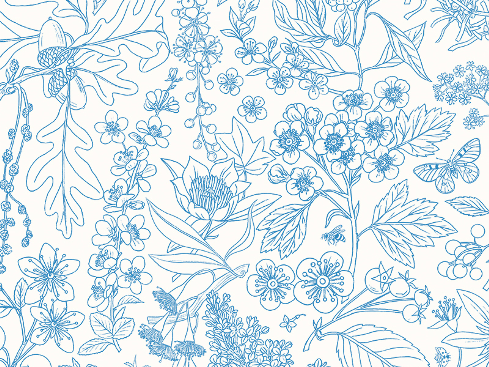 Trees / blue line art - Oana Befort's Portfolio