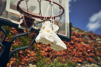 caterpillar-trainers-hanging-basketball-hoop-shot-by-matthew-stansfield