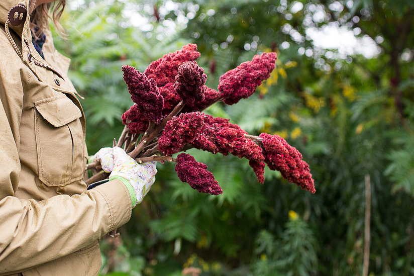 sumac, austin event photographer, mackenzie smith, mackenzie smith kelley, mackannecheese, fresh sumac
