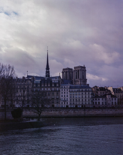 パリのノートルダム大聖堂のフィルム写真。