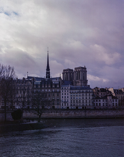 パリのノートルダム大聖堂のフィルム写真。