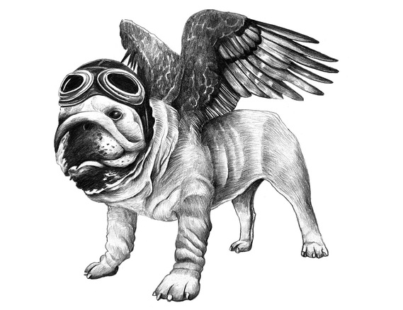 HIGHLY DETAILED PENCIL DRAWING OF A BIRD DOG WITH OLD SCHOOL FLYING GOOGLES AND HAT