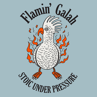 HAND DRAWN FLAMIN GALAH GRAPHIC IRREVERENT AUSSIE HUMOUR MENSWEAR GRAPHIC TEE SHIRT PRINT