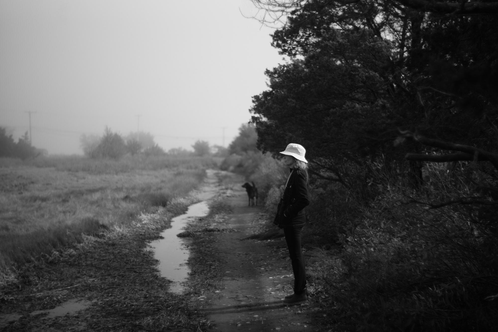 photo: Stephen Kazmeriski