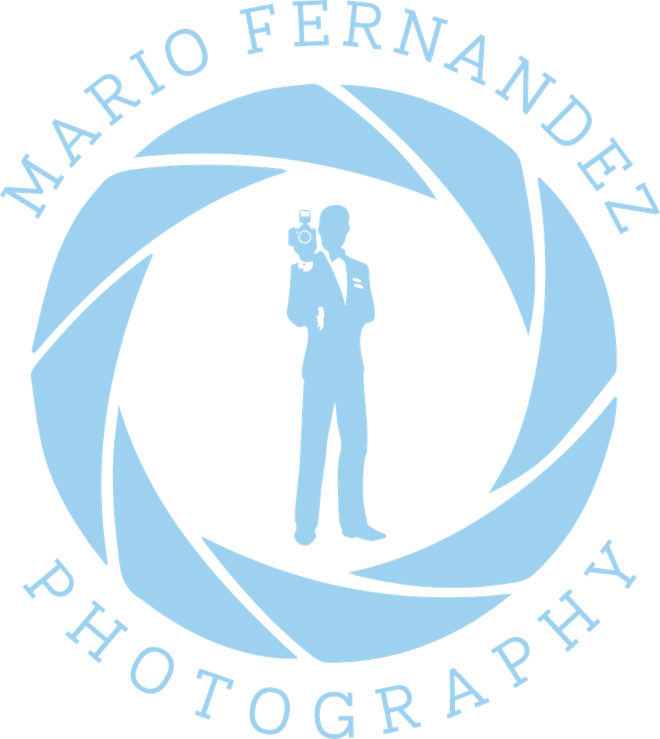 NY Wedding & Portrait  Photographer