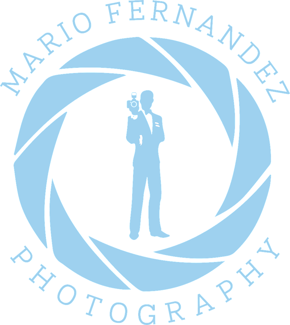 NY Wedding & Portrait  Photographer