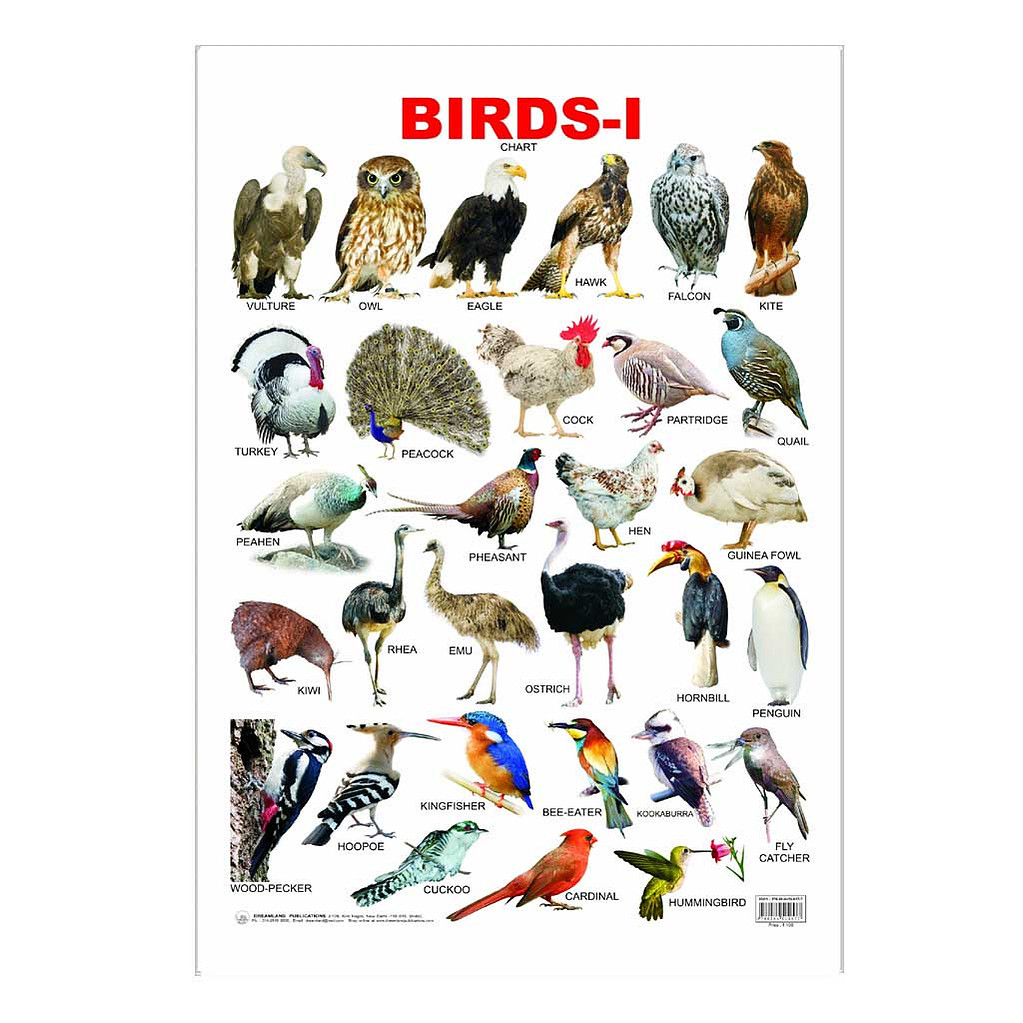 A bird learning chart.