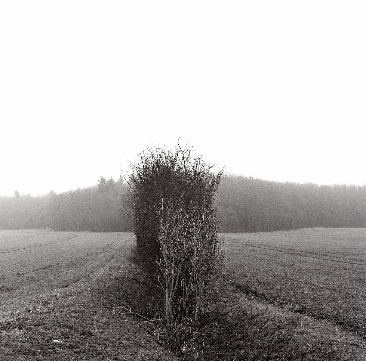 Ben Nason
Interlude