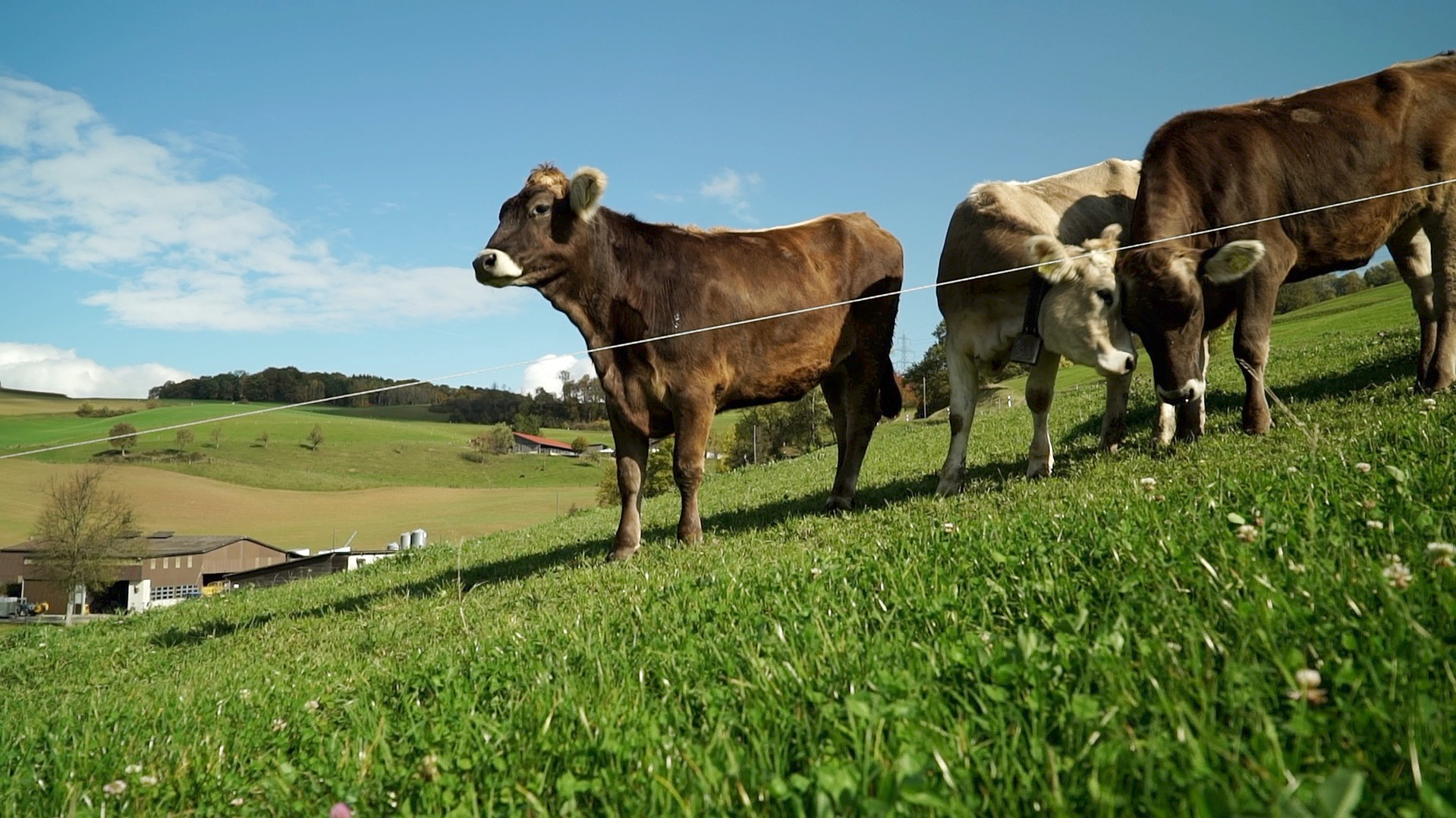 Welternährung, biologische Landwirtschaft, Christian Schader, Adrian Müller, Fibl Schweiz, Forschungsinstitut für biologische Landwirtschaft Schweiz, Julia Kaulbars
