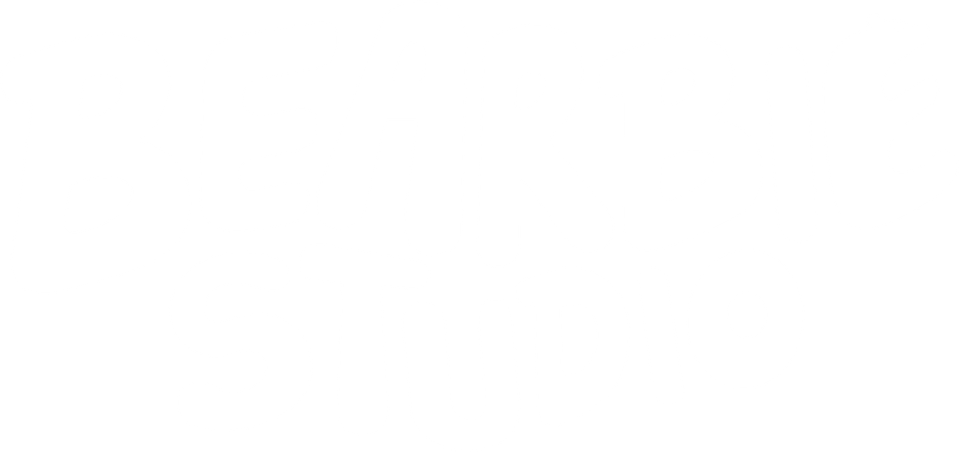 Bearbie Studio