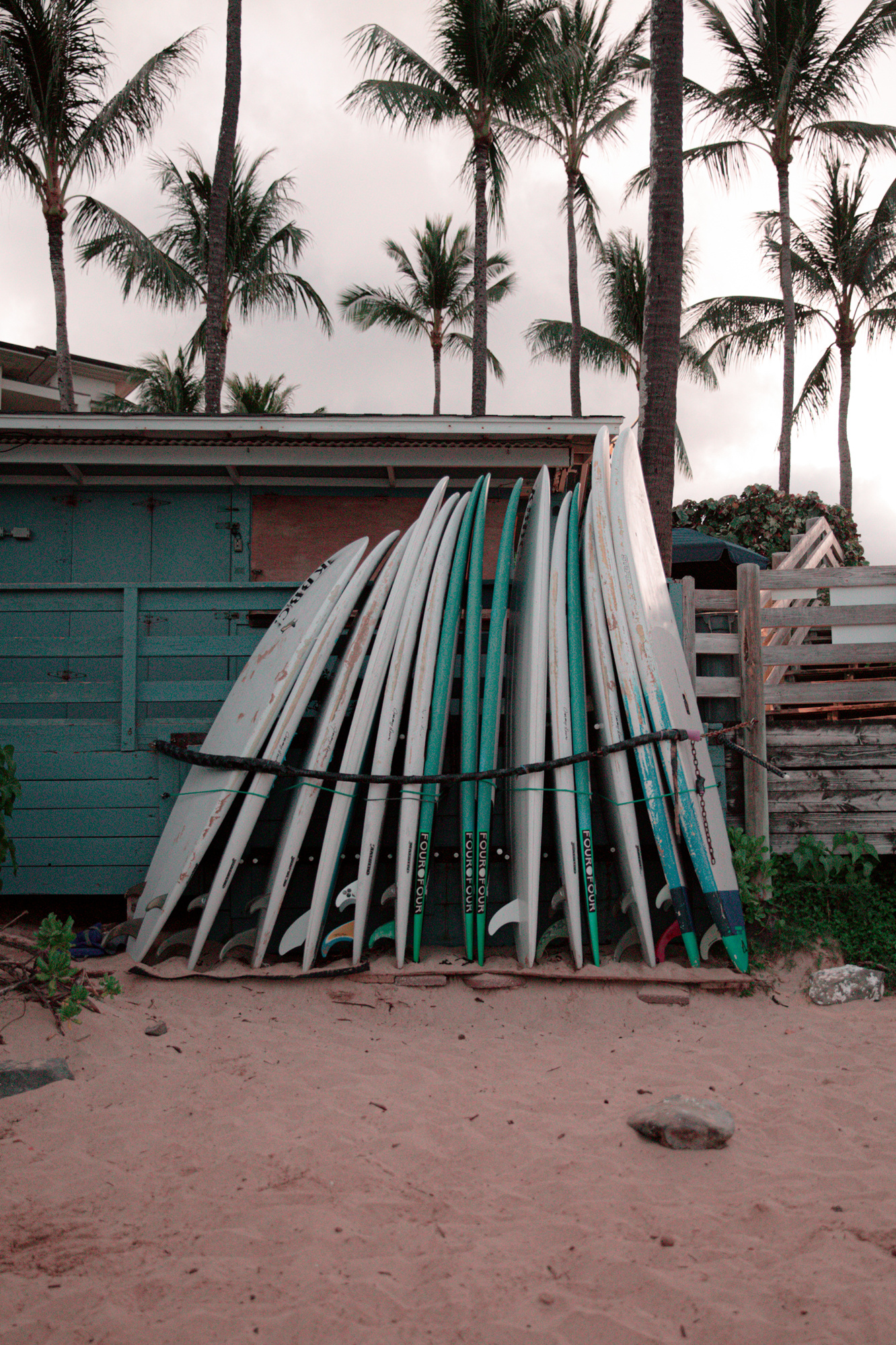 surf boards in maui