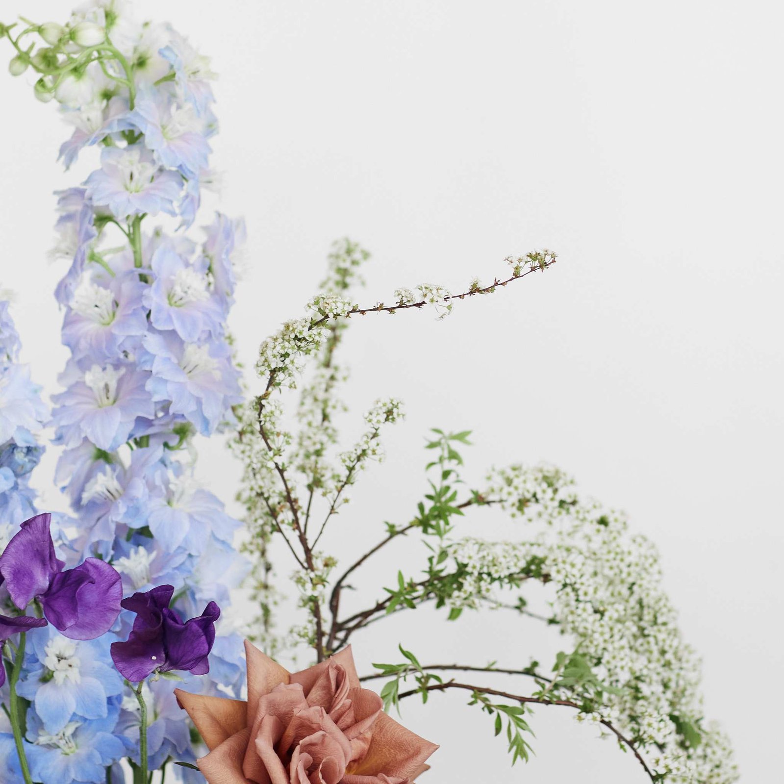 Fine art photography.  Floral. Flower. 