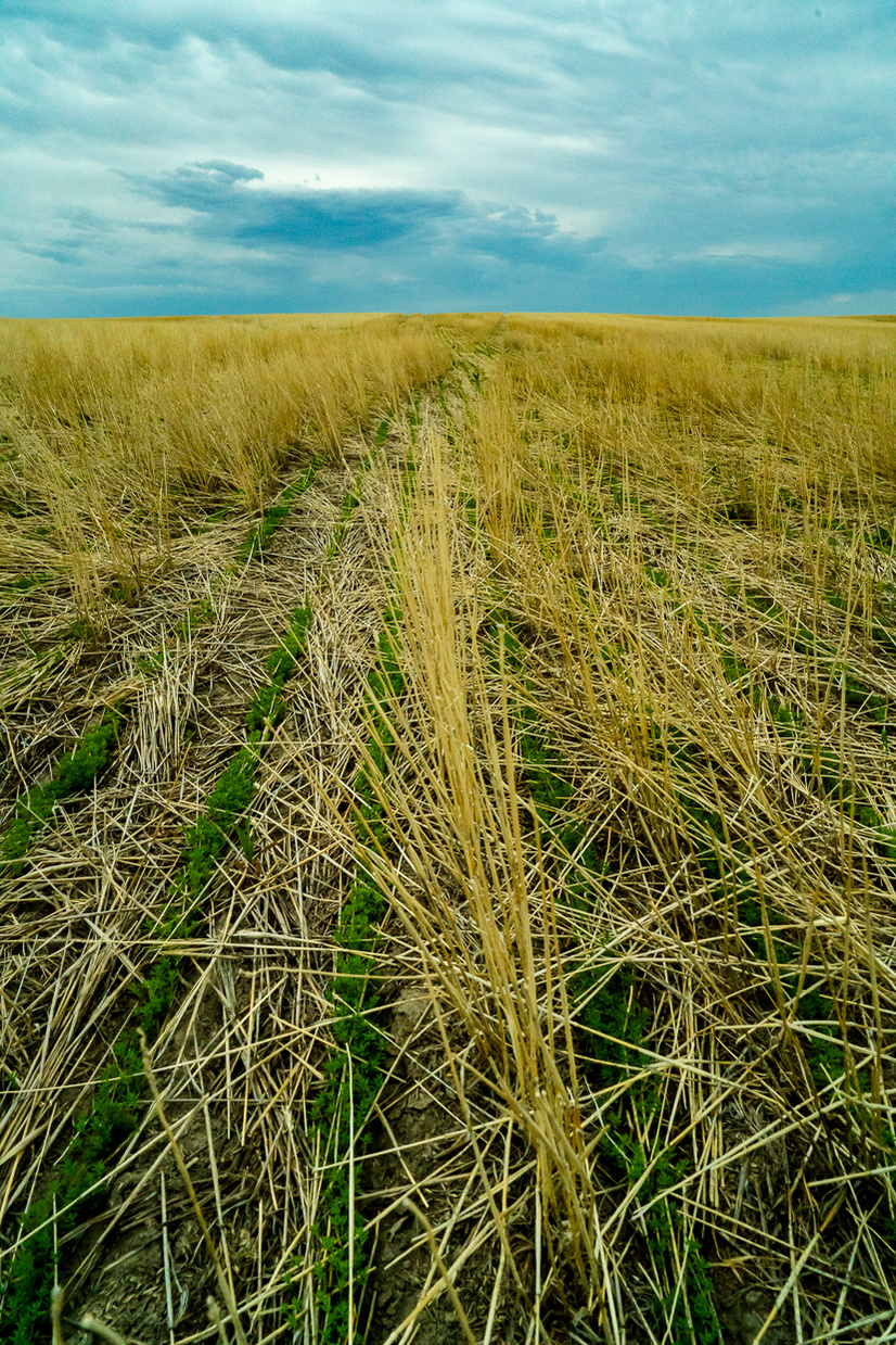 Jason Thompson outdoor Photography and Videography, Bozeman, Montana based.