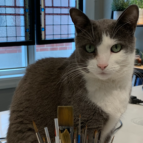 A grey and white faced cat sits behind a glass of paint brushes on a white kitchen island. He has big green eyes and a pink nose. Half of his face is white and the other half is grey. 