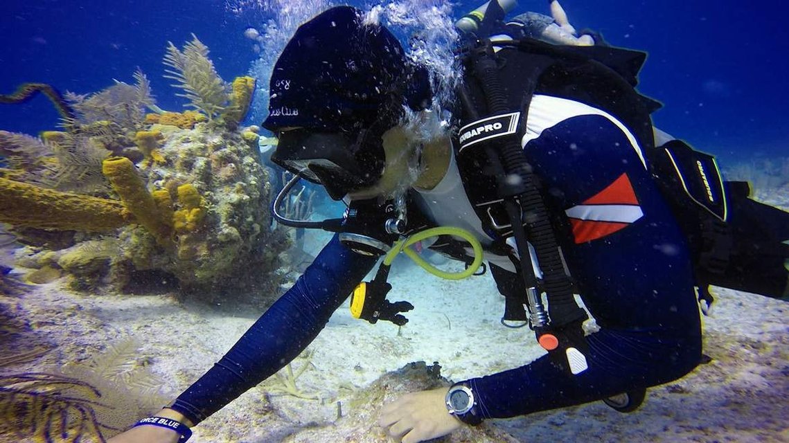 FORCE BLUE: TEAM ONE MEMBER WORKING WITH CORAL REEF