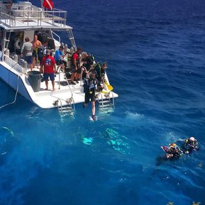 FORCE BLUE: TEAM ONE MISSION BOAT