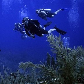 FORCE BLUE: TEAM ONE MISSION DIVERS UNDERWATER