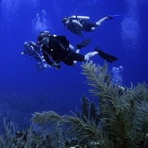FORCE BLUE: TEAM ONE MISSION DIVERS UNDERWATER