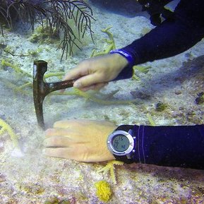 FORCE BLUE: TEAM ONE MEMBER WORKING WITH CORAL REEF