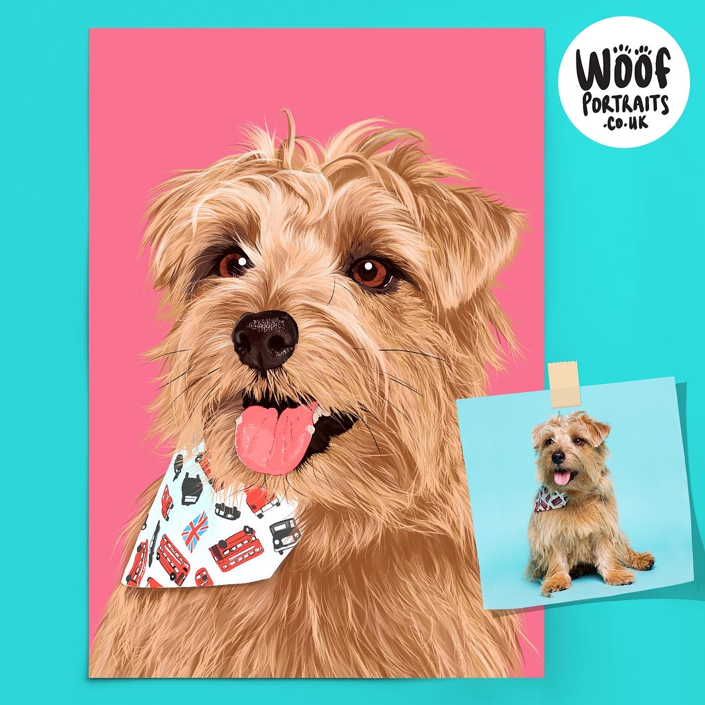 An illustrated portrait by Woof Portraits  of Nacho the Norfolk terrier based on a photoby Woof Photography. Pink backdrop 