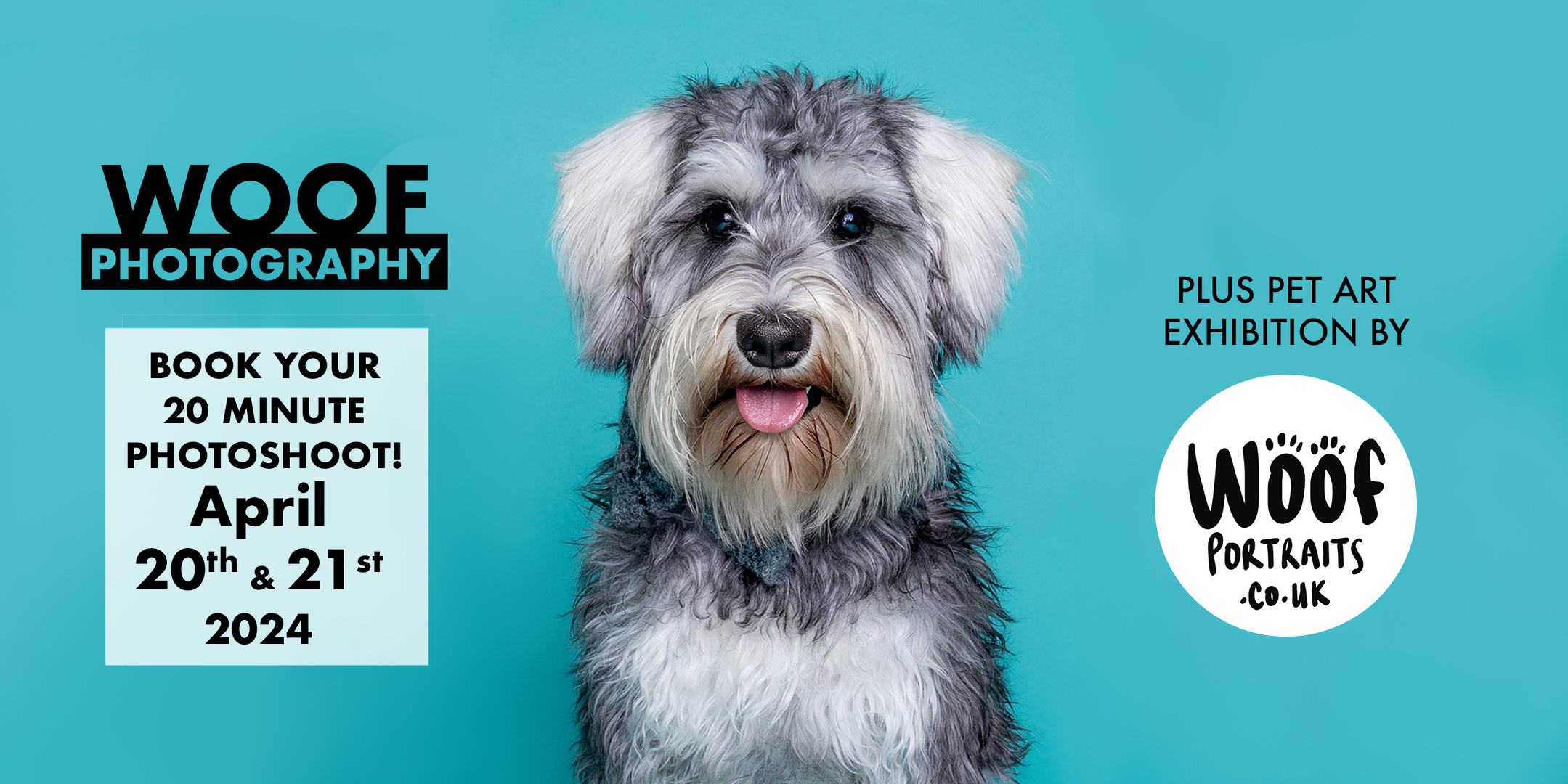 Stanley the salt and pepper miniature Schnauzer by Woof Photography. Pop-up dog event featuring Woof Portraits exhibition and Woof Photography photoshoot at The Coppernose Cafe, Hampton Court, The Mitre Hotel.  Pets Pyjamas. 