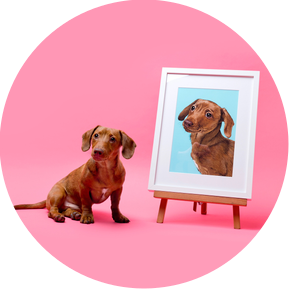 Billie the Jack Russel terrier X Dachshund posing with his custom pet portrait by Woof Portraits.  He is advertising the Platinum package with Woof Photography that includes a framed photographic fine art giclée print and illustration.  