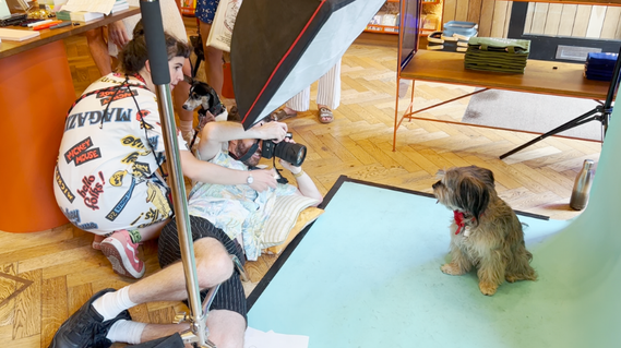 Chelsea Dog day photography sessions with Woof Photography.  Book a slot with Jonny the London dog photographer! 
Exhibition with Woof Portraits. 