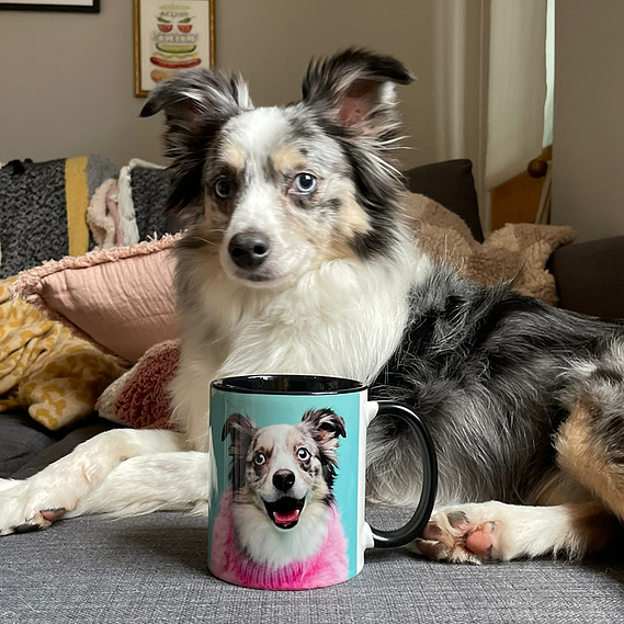 Australian shepherd collie sheep dog posing with a custom woof photography ceramic mug.  Photography products by Jonny the London dog photographer. 