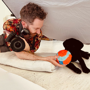 Jonny the dog photographer playing with Baran the black Labrador puppy during is Platinum photoshoot at the studio. Canon R6 camera.  Behind the scenes. 